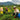Social Sustainabili-Tea