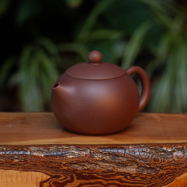 Purple Xishi Yixing pot
