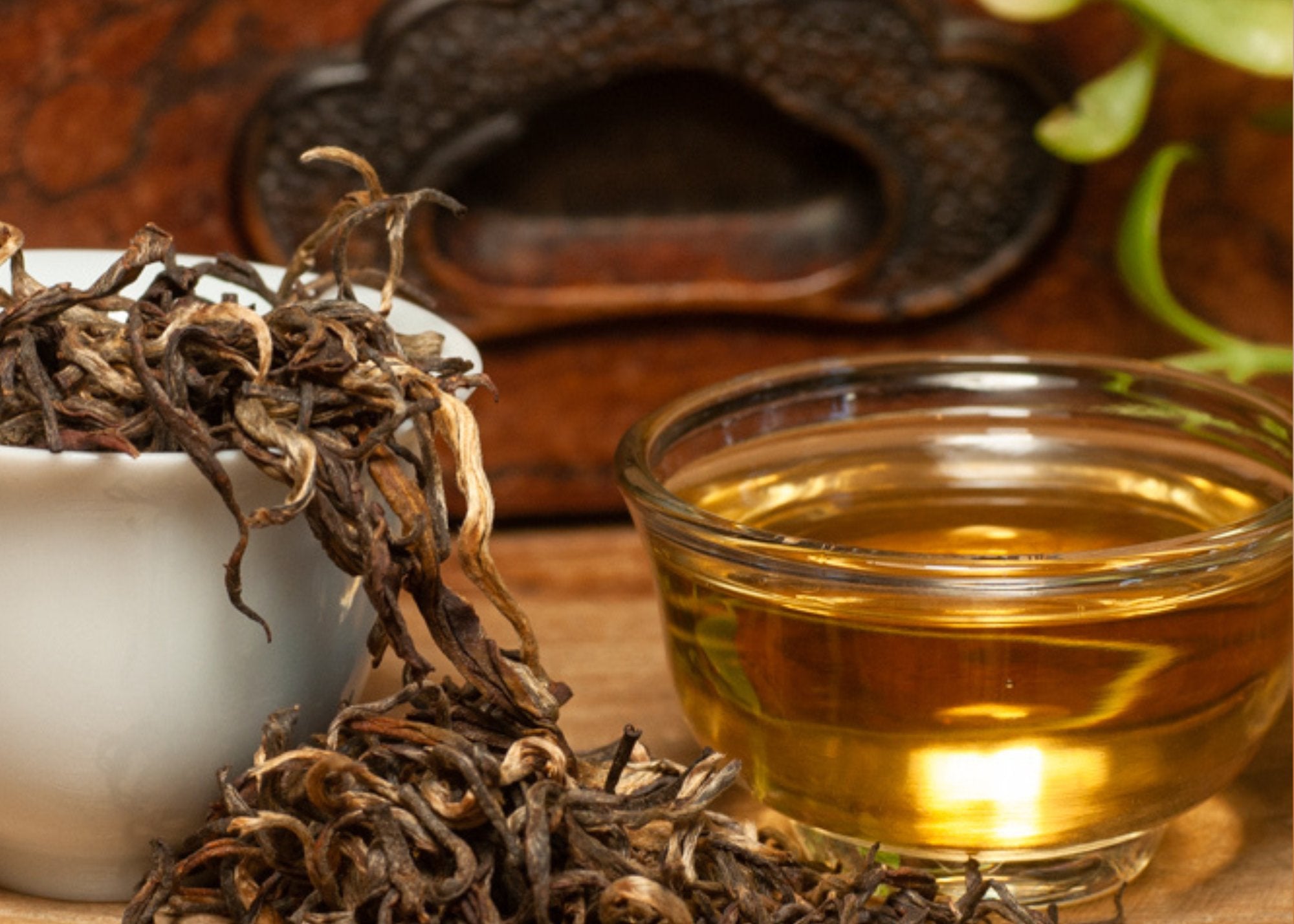 Unique Loose Leaf Teas | Rare & Experimental Flavors – Blue Willow Tea