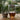 Tea Utensils