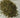 Mint Herbal Wholesale