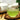 Asatsuyu Sencha wholesale
