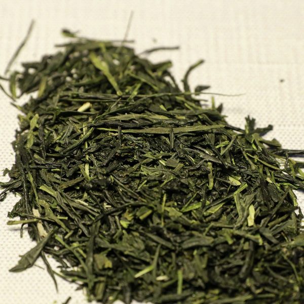 "Morning Mist" Sencha Wholesale