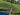 Sustainable tea harvest in Taiwan on terraced fields