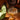 Pouring Roasted Dong Ding Oolong (Competition Grade) from dark brown gaiwan into clear double-walled glass cup, blurred pothos leaf background