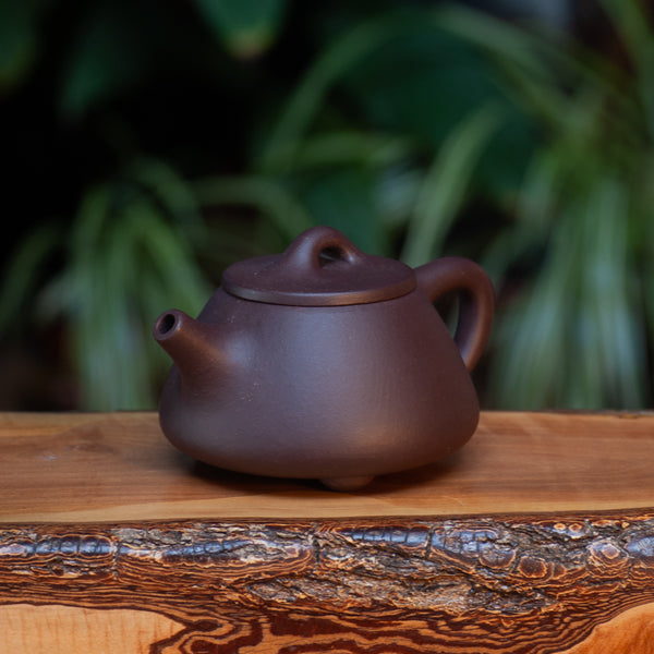 Purple Shi Piao Yixing pot