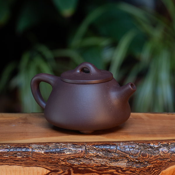 Purple Shi Piao Yixing pot