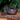 Purple clay Shi Piao Yixing Teapot, ideal for steeping and enhancing the flavor of aged teas 