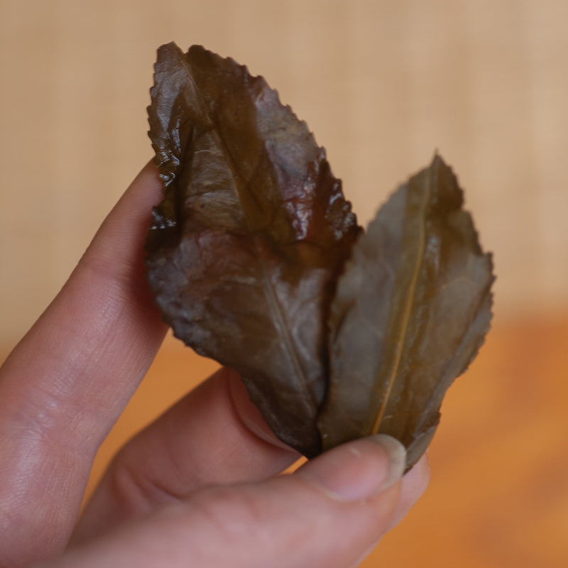 Awa Bancha Sour Tea – Blue Willow Tea