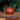 Red Xishi Yixing pot