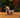 Horse Tea Pet