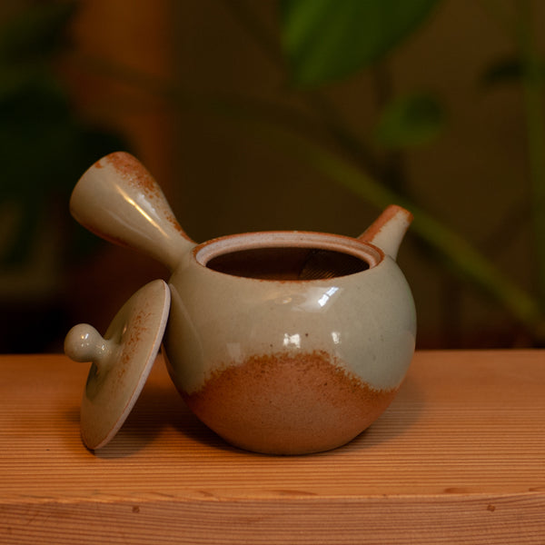 Ash Glazed Kyusu