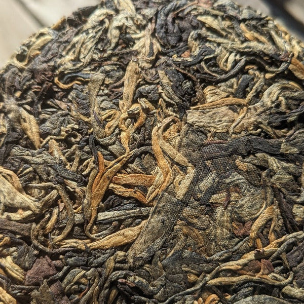 Ancient Sun Black Tea Cakes Wholesale