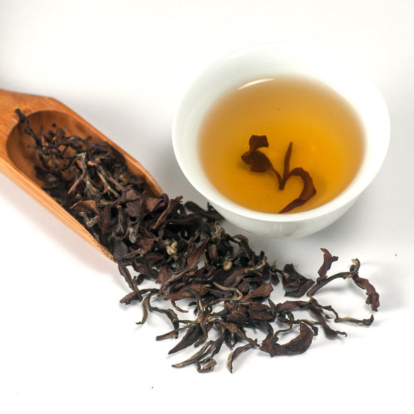 Wuliang Beauty Oolong Wholesale